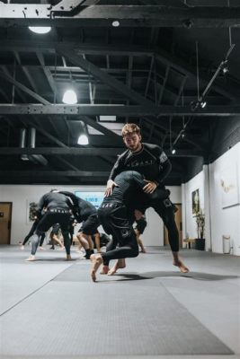 What Martial Art Should I Learn? – A Multi-faceted Discussion